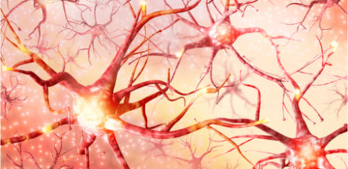 Interpersonell Neurobiologi - inspirationsdag ONLINE - 19 november 2025